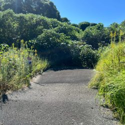 小郡市津古　売地　43坪 画像6